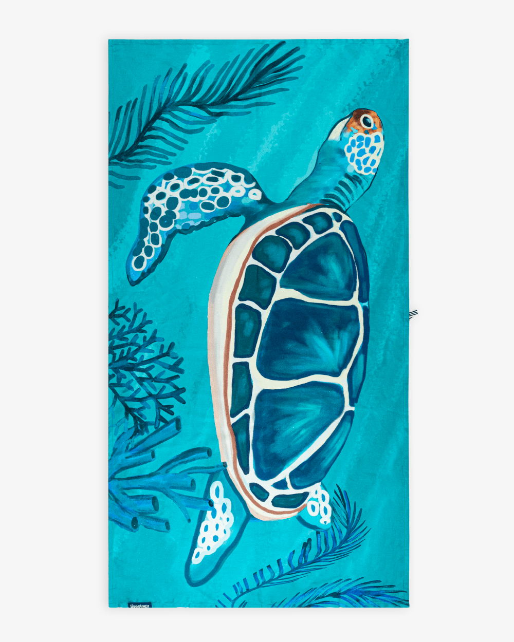 Turtled - Liveology